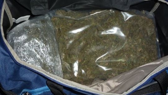 1,5 kilograma niechcianego kłopotu