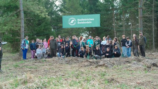 Akcja sadzenia lasu z Nadleśnictwem Świebodzin w leśnictwie Bucze
