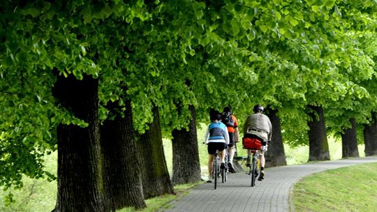  Będzie kolejne 7 km ścieżki rowerowej na wale!