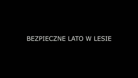 Bezpieczne lato w lesie 