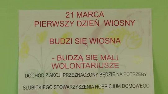 BUDZI SIĘ WIOSNA- BUDZĄ SIĘ MALI WOLONTARIUSZE