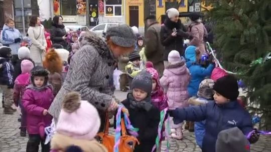 Choinkowa tradycja w Słubicach