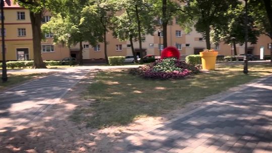 Ciekawe i pomysłowe konstrukcje na Placu Wolności