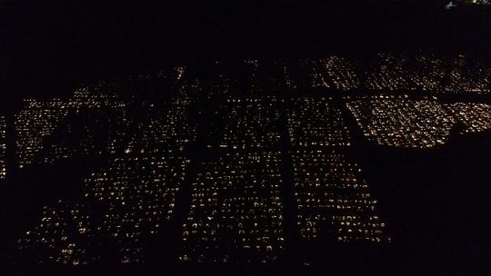 Cmentarz nocą rozświetlony blaskiem tysięcy zniczy