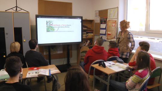 Co nowego oferuje Społeczna Niepubliczna Ogólnokształcąca Szkoła Muzyczna I stopnia w Słubicach ?