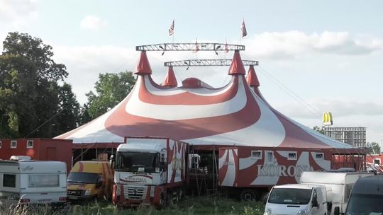 Czy warto chodzić do cyrku? Mieszkańcy podzieleni w sondzie ulicznej