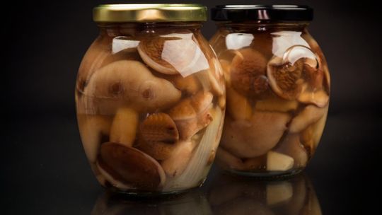 Dlaczego Polacy kochają grzyby?