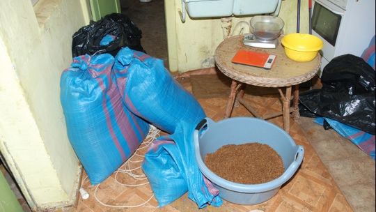 Dwudziestolatkowie handlowali tytoniem Dwudziestolatkowie handlowali tytoniem