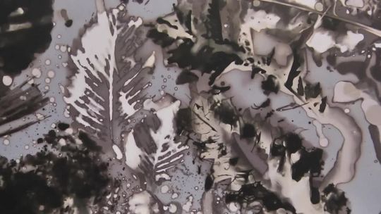 Dzięki kalendarzowi od AKFY zbierano datki dla Hospicjum 