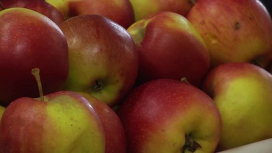 Dzień zdrowego żywienia w Gimnazjum nr 2. 