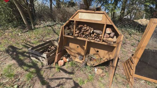 Dzień Ziemi w Niepublicznym Przedszkolu Odkrywcy w Kunowicach