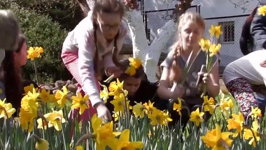 Hospicjum nominowane do Społecznika Roku 2017