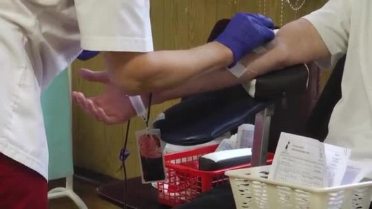 ILE AKCJI Z KRWIODAWSTWA PRZEPROWADZI W TYM ROKU ROLNICZAK? Sprawdź i zostań honorowym dawcą krwi.