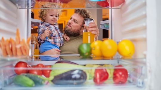 Jaką lodówkę wybrać dla dużej rodziny?