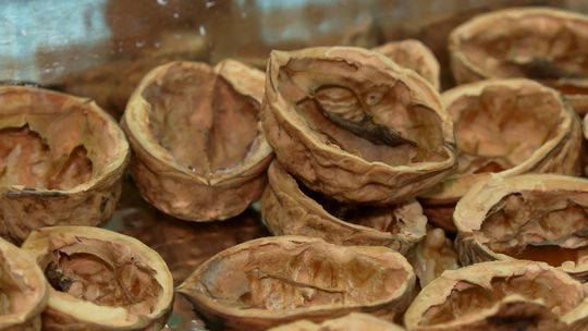 Jesienne warsztaty w Bibliotece Pana Kleksa