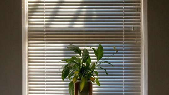 Kiedy warto zamontować żaluzje pionowe?