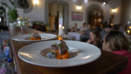 Kolacja degustacyjna w restauracji ''Portofino''