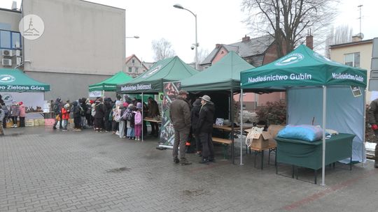 Kolejna edycja "Eko Choinki"