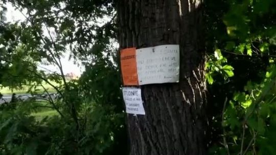 Kunowice po raz kolejny  bez prądu !!!