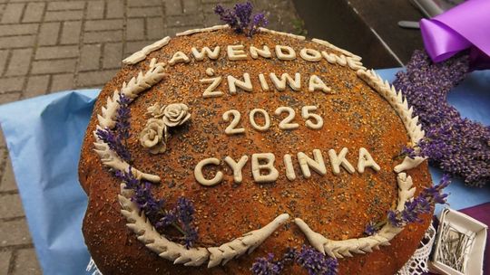 Lawendowe żniwa w Cybince Lawendowe żniwa w Cybince