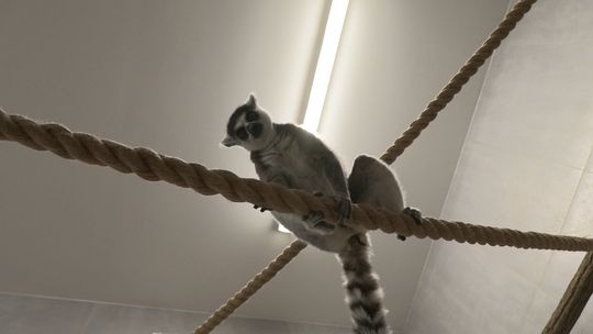 Lubuskie Pełne Pasji - Mini zoo w Zielonej Górze - odc. 17