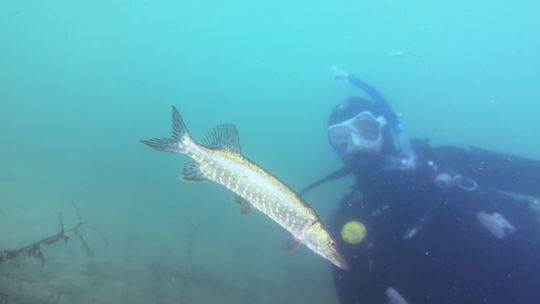Lubuskie Pełne Pasji - podwodna przygoda (odc. 24)