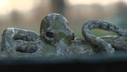 Lubuskie Pełne Pasji - Warsztaty ceramiczne