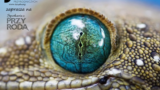 MAJOWE SPOTKANIE Z PRZYRODĄ 