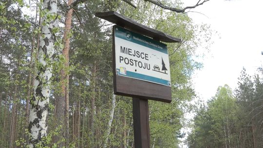 „Majówka 2026” – więcej patroli w lasach