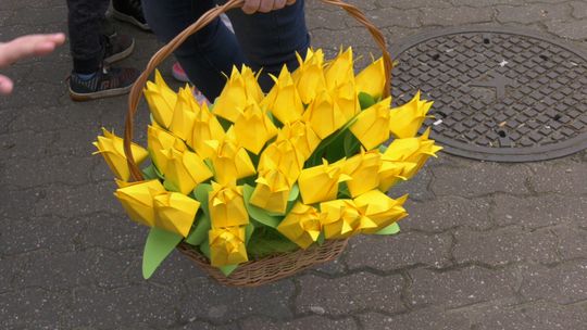 Mali wolontariusze wsparli hospicjum! 