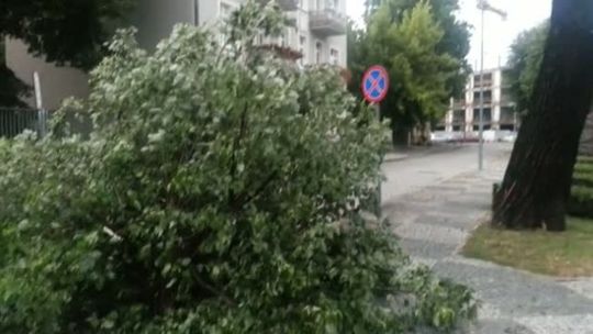 Marek Koroluk o skutkach poniedziałkowej pogody