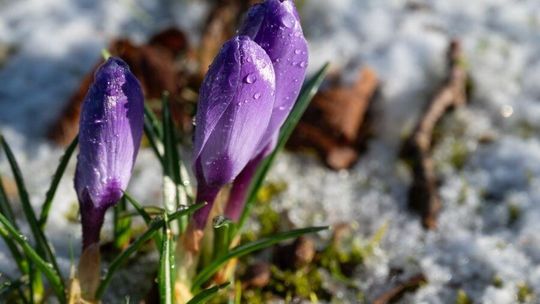 Marzec w pogodzie: ciepło, mróz i widmo suszy
