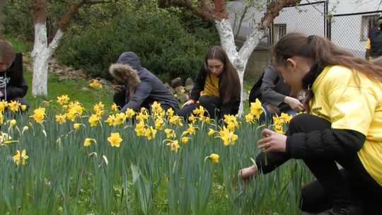 Młodzież znów zaangażowała się w "Pola nadziei" 