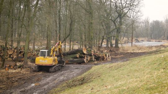Na jakim etapie jest budowa wału ? 