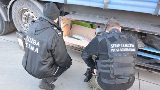 NARKOTYKI W CIĘŻARÓWCE WJEŻDŻAJĄCEJ DO POLSKI NARKOTYKI W CIĘŻARÓWCE WJEŻDŻAJĄCEJ DO POLSKI