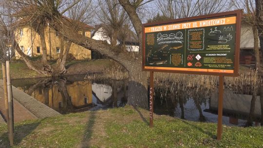 "Obce Słubice" - nowe zadanie Fundacji Dziupla Inicjatyw Przyrodniczych