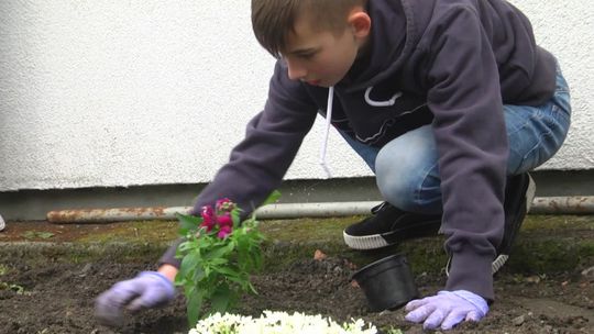 Pamiątkowy ogród w Społecznej Niepublicznej Szkole Muzycznej