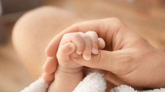 Państwowe in vitro działa. Wszyscy czekają na dziecko nr 1000