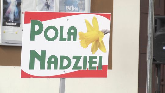 Piąta edycja akcji Pola Nadziei za nami!