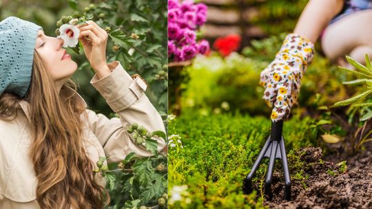 Pierwsza wiosna zacznie się 20 marca, druga dzień później