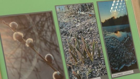 „Pierwsze oznaki wiosny” - młodzi fotografowie w Zielonej Górze