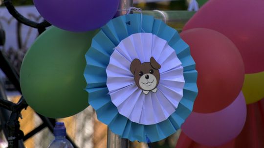 Piknik Rodzinny i 50-lecie Misia Uszatka 