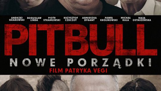 Pitbull. Nowe porządki