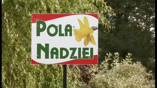 POLA NADZIEI OBSADZONE