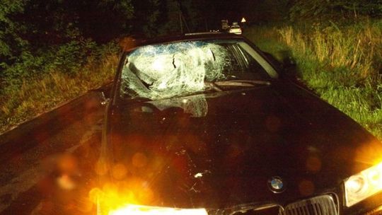 Policja wyjaśnia okoliczności tragicznego wypadku 