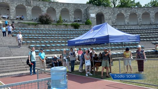 Polsko-Niemiecki sportowy festyn Seniorów to już tradycja! 