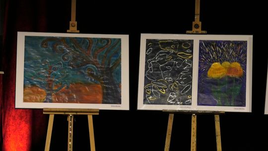 Powiatowy Przegląd Wizualny Pro Arte 2026 w Słubicach