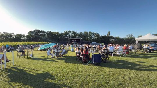 PRETO JAZZ FESTIWAL 2026 w Winnicy Preto. Muzyka, sztuka i letni klimat