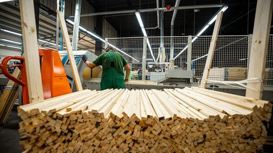 Proces suszenia drewna w suszarniach przemysłowych - co warto wiedzieć? Proces suszenia drewna w suszarniach przemysłowych - co warto wiedzieć?