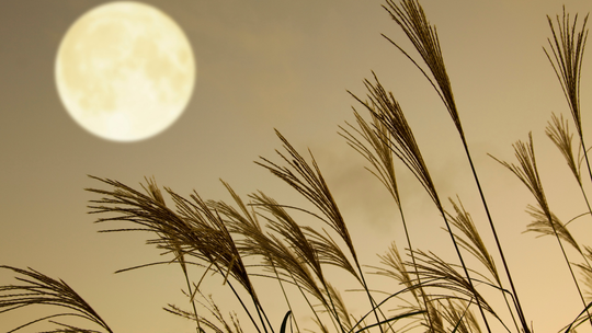 Przed nami sierpniowa pełnia Księżyca. Sprawdź kiedy Przed nami sierpniowa pełnia Księżyca. Sprawdź kiedy